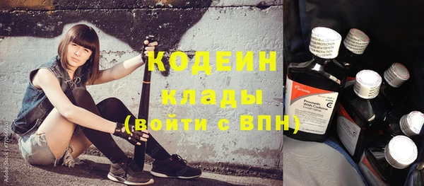 spice Дмитриев