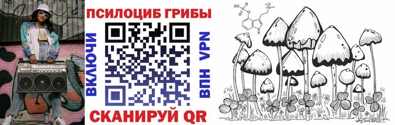 Псилоцибиновые грибы MAGIC MUSHROOMS  OMG ONION  Олёкминск  купить  